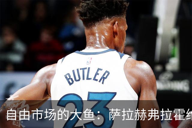 自由市场的大鱼：萨拉赫弗拉霍维奇在列 桑乔或再回多特